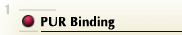 PUR Binding