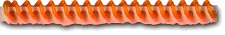 Plastic Coil